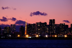 東京湾岸の夕景