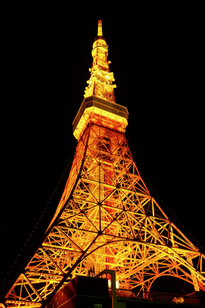東京タワー-5