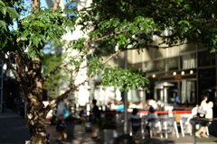 cafe
