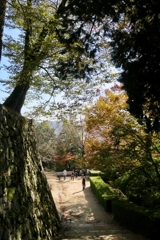 秋の備中松山城