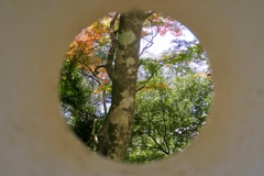 秋の備中松山城