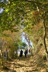秋の備中松山城
