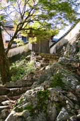 秋の備中松山城