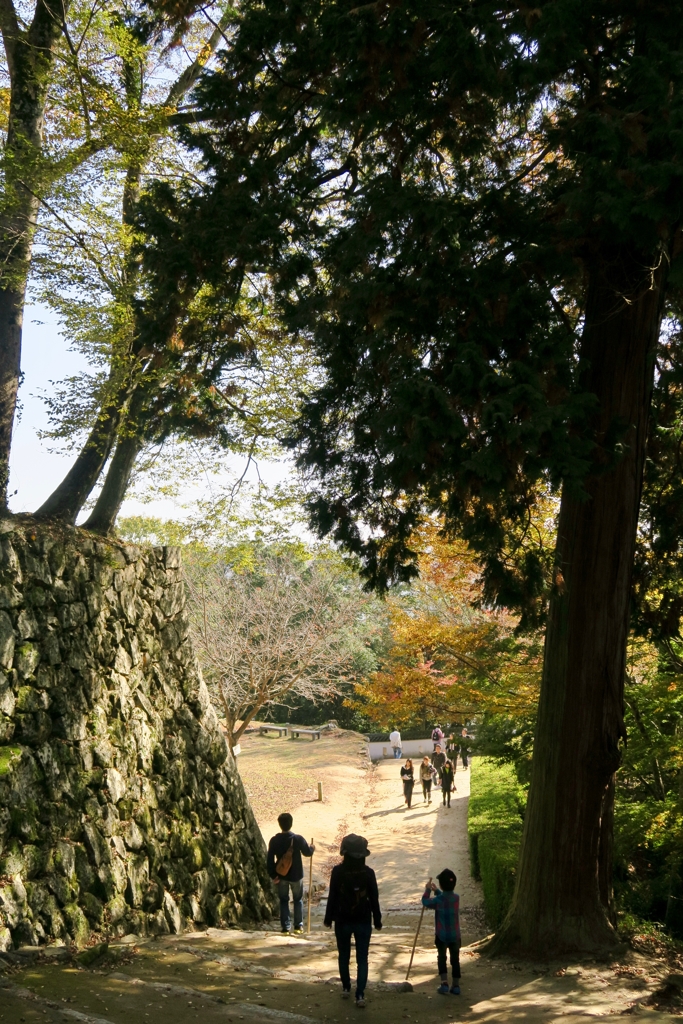秋の備中松山城