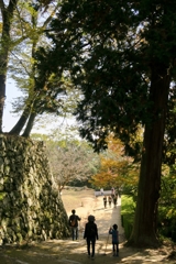 秋の備中松山城