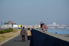 午後の散歩