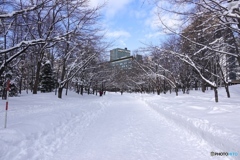 中島公園