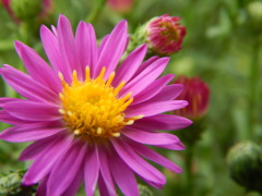 DSCN0023