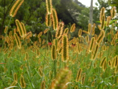 DSCN0444