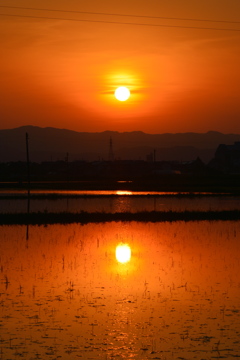 夕日が二つ