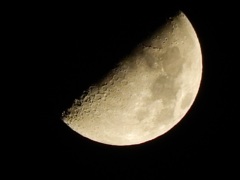 月夜