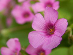 DSCN0013