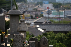 お盆休み