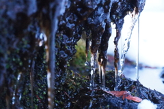 [京極]湧き水