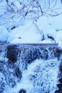 [京極]水源？