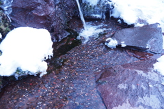 [京極]湧き水3