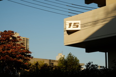 住宅街の１５