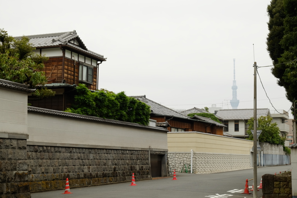 上野曇天家屋