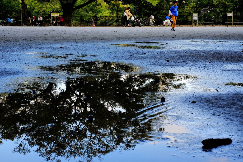 公園