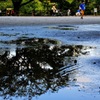 公園