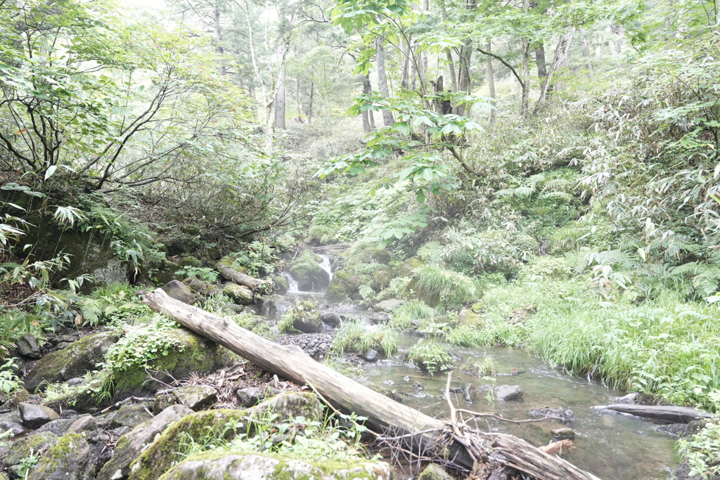 尾瀬