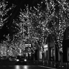 あたたかな夜。