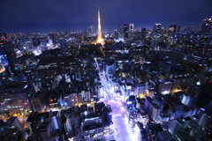東京タワーへの光の道。