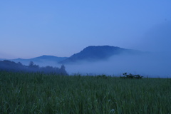 尾瀬