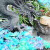 花手水