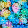 花手水
