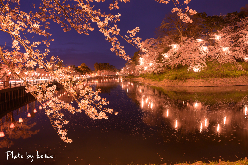 夜桜１