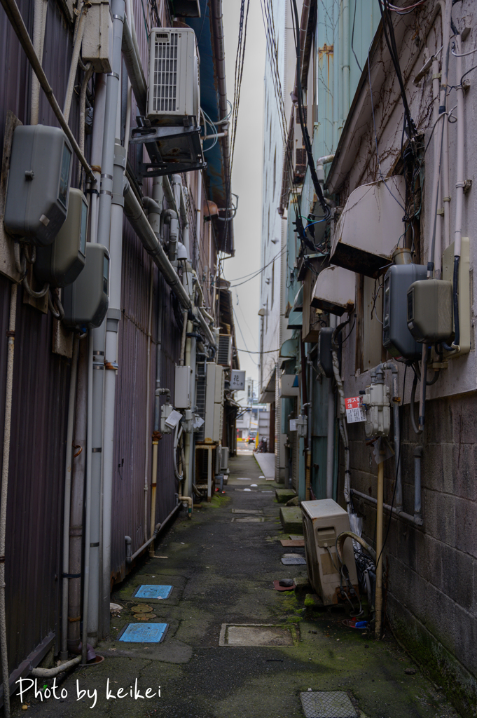 何だか賑やかな小路