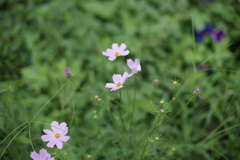 お