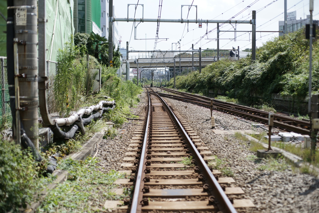 どこまでも