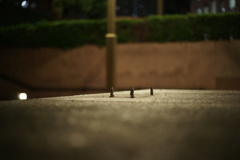 ｒ