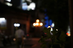う