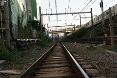 ｄ