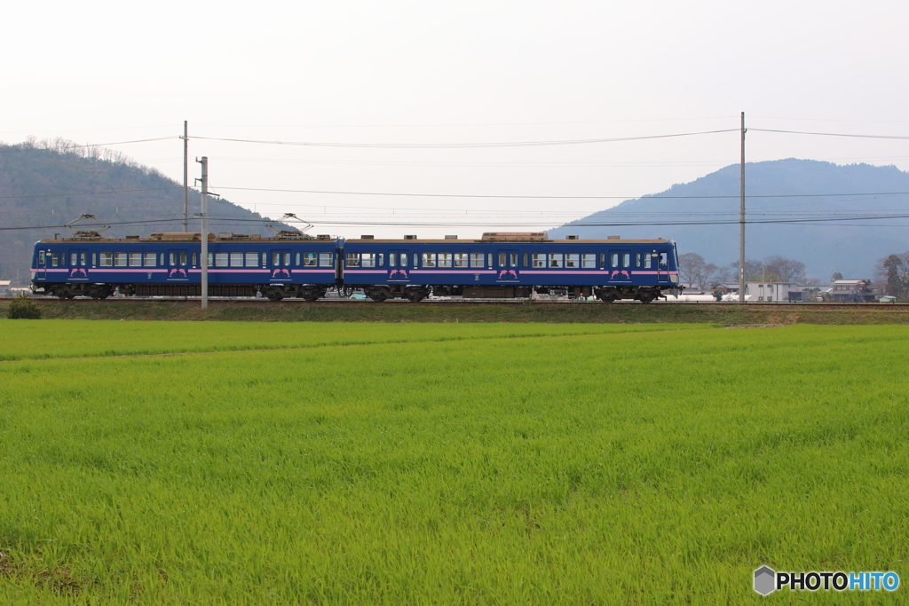 田園を行く