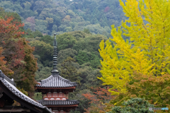 秋の三室戸寺