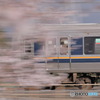 桜快速