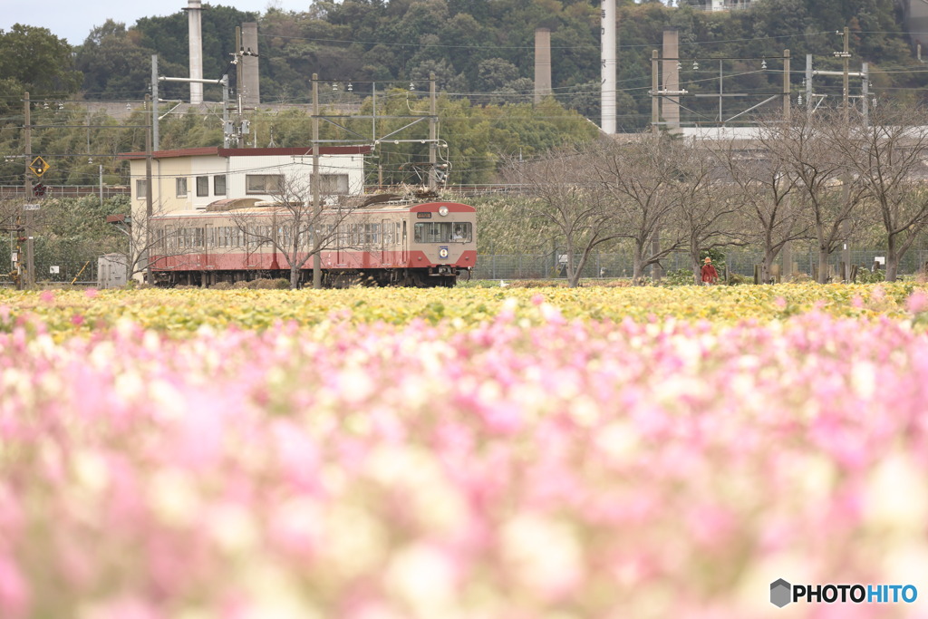 秋色列車