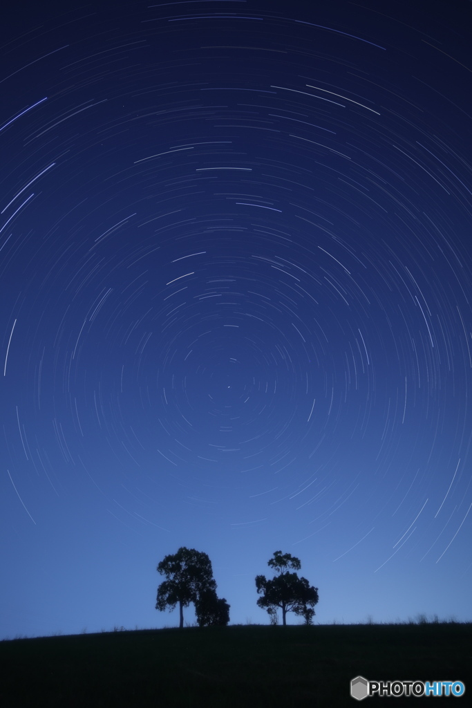 星に願いを