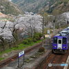 桜待つ駅