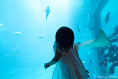 Into the blue