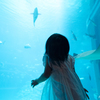 Into the blue