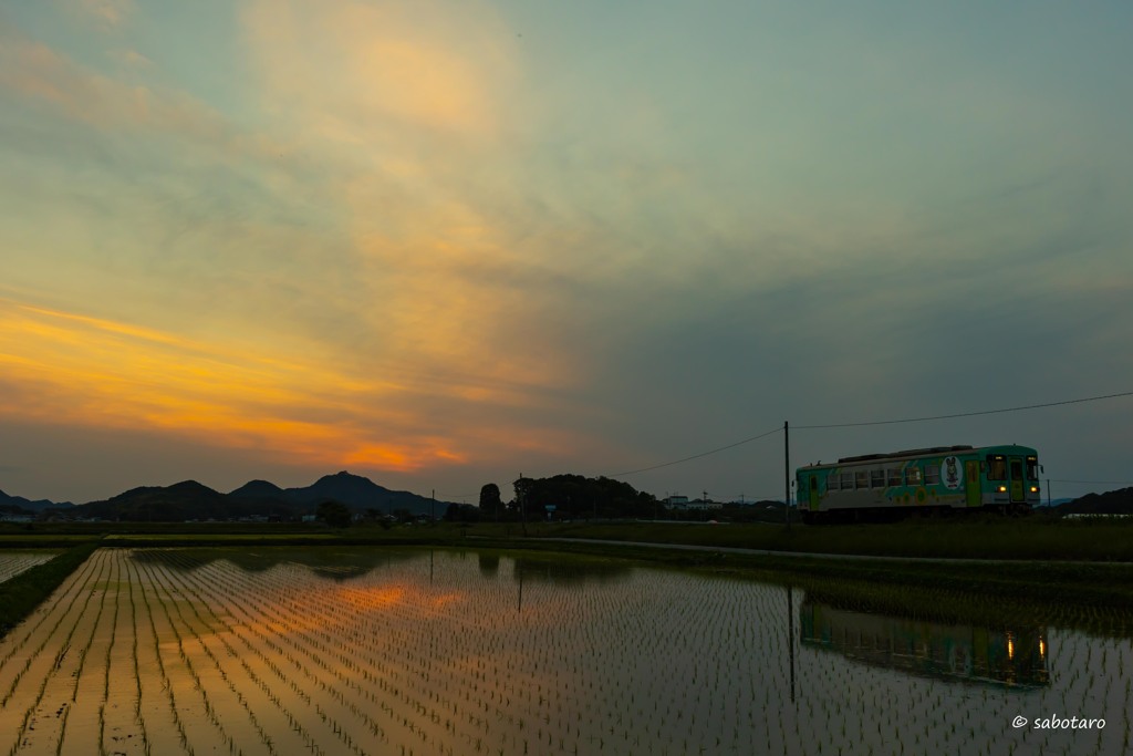 初夏の夕列車