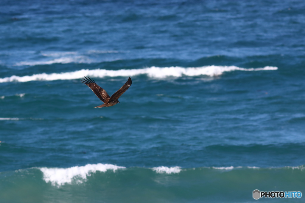 玄界灘の潮風にぃ～