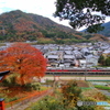晩秋の城下町を行く