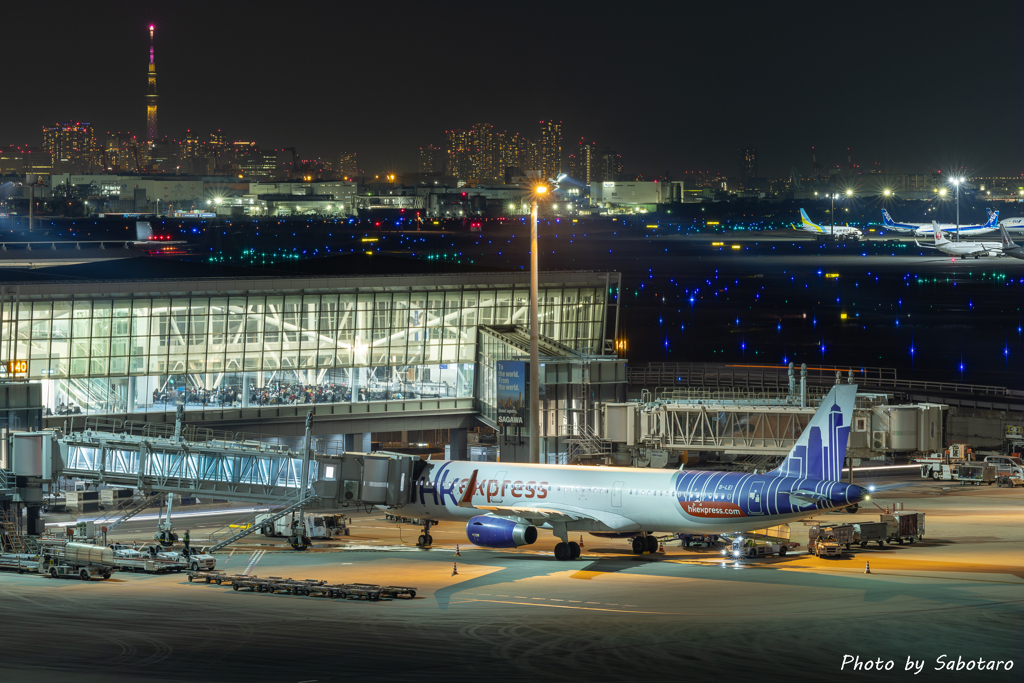 Night Terminal
