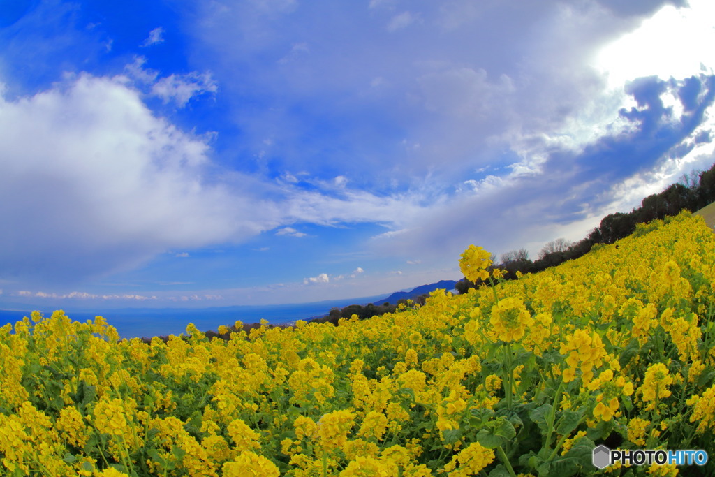 空と海のあいだに By Sabotaro Id 写真共有サイト Photohito